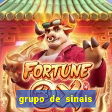 grupo de sinais fortune rabbit